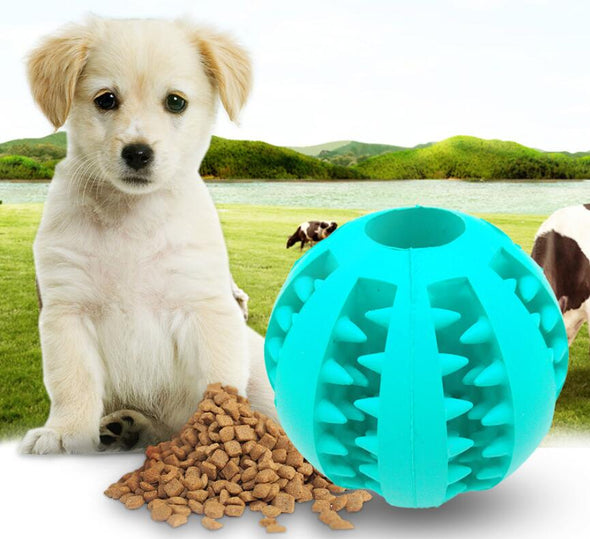 Pet Slow Feeder Cute Funny Toy