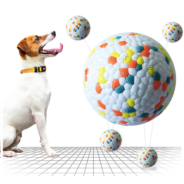 Dog Molars Ball Interactive Training Toy