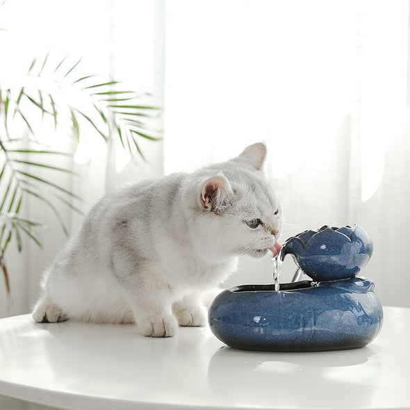 Cat Automatic Drinking Fountains Water Feeder