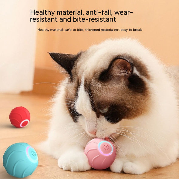 Cat Automatic Bouncing Smart  Rolling Ball Toy