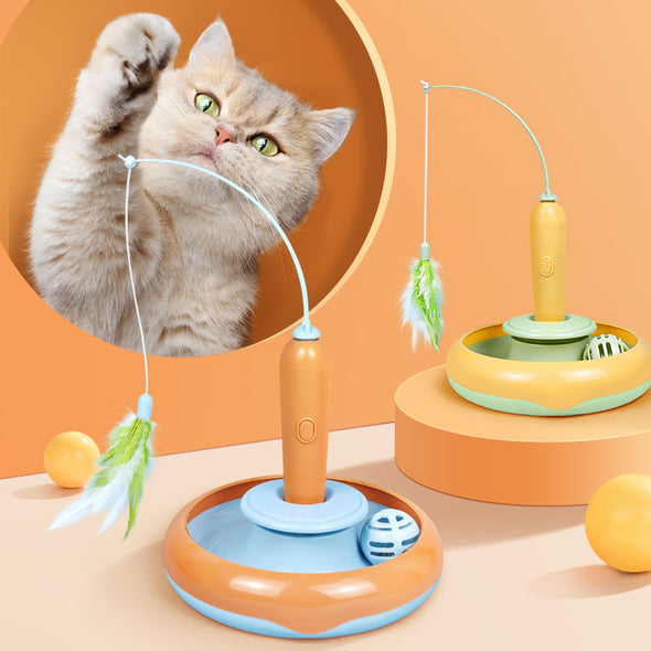 Pet 2 In 1 Self-play Turntable Toy
